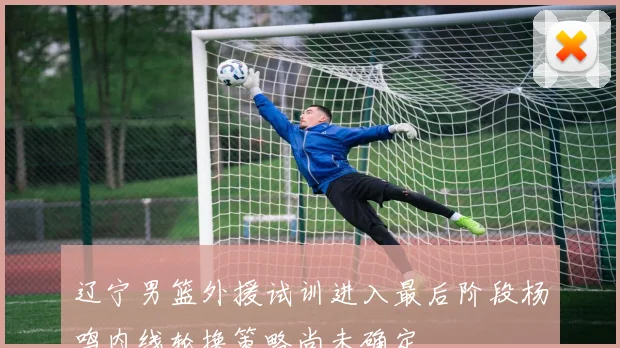 辽宁男篮外援试训进入最后阶段杨鸣内线轮换策略尚未确定