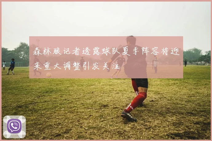 森林狼记者透露球队夏季阵容将迎来重大调整引发关注